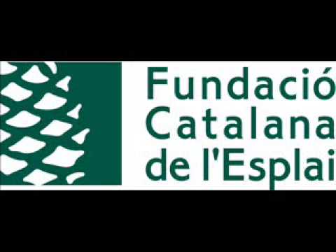 IntervencioJosepRamonedaConsellAssessorFCE de Fundació Catalana de l'Esplai