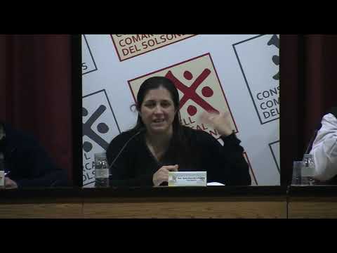 Resum sessió plenària 15112018 - Consell Comarcal (PLENS) - 22TV (Televisió de Solsona) de 22TV - Televisió de Solsona