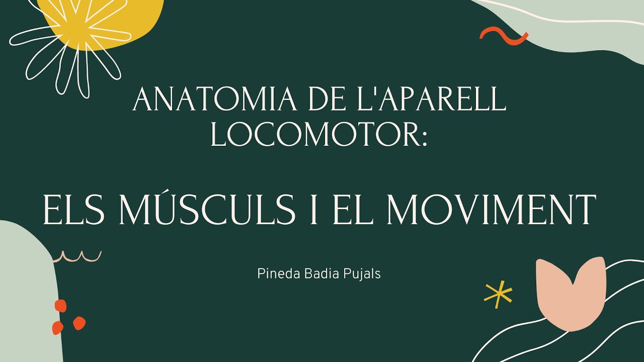 Anatomia de l'aparell locomotor 2: Sistema muscular i fisiologia moviment de Anatomia Cicles Formatius