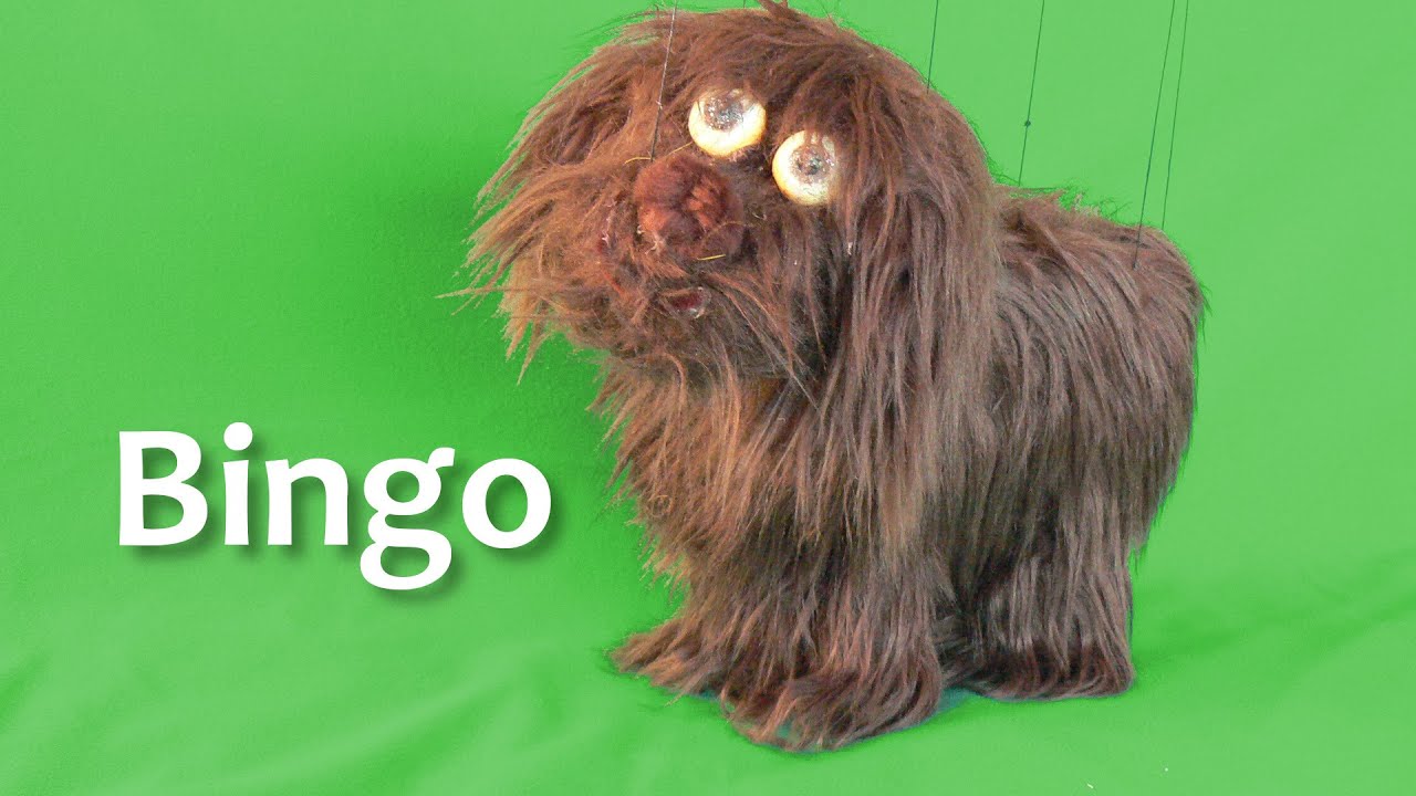 Titelles Pamipipa - Història de titelles amb el gos "Bingo" de Titelles Pamipipa