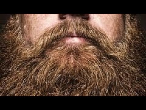 La història de la barba amb pèls i senyals de Història en català