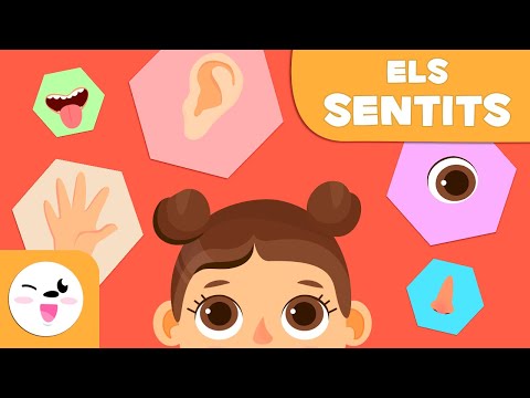 Els cinc sentits per a nens en català - Educació infantil de Smile and Learn - Català