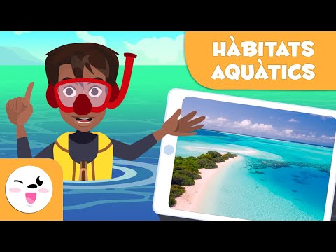 Descobreix els hàbitats aquàtics - Tipus d'hàbitats per a nens en català de Smile and Learn - Català