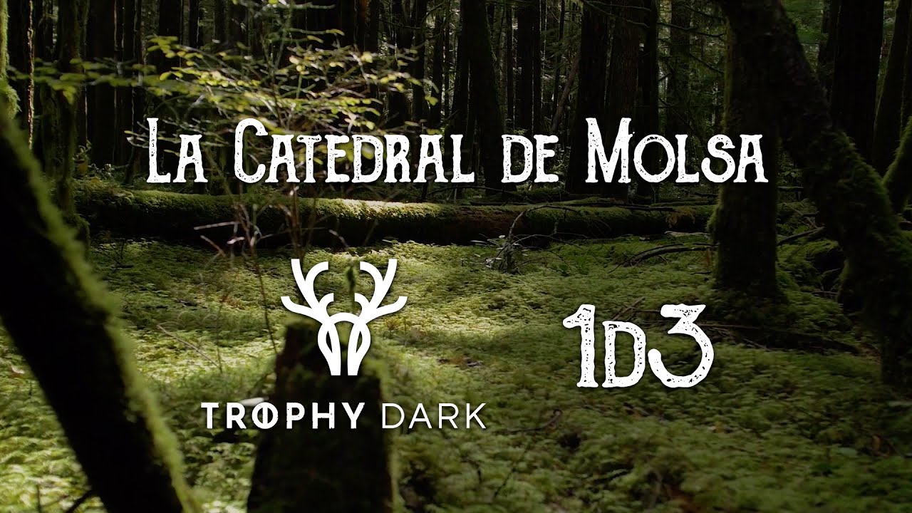 La Catedral de Molsa (1/3) - Trophy Dark // Rol en Català de Golfes De Rol