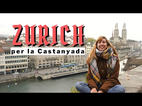 [Vlog] Zurich | Ens trobem una MANI de NEGACIONISTES de anna around