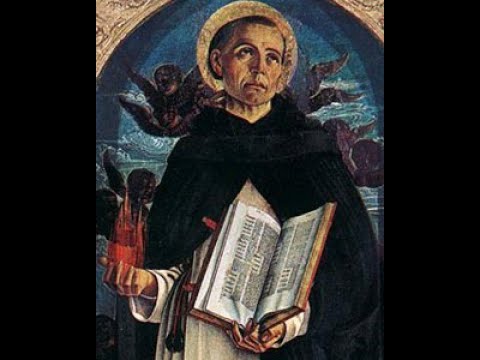Els 873 miracles de sant Vicent Ferrer de Història en català