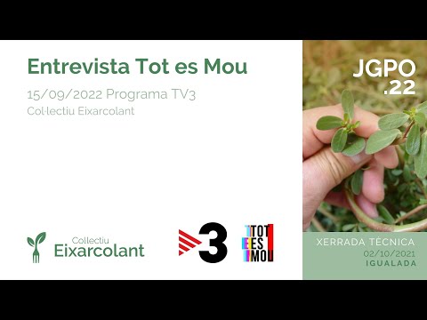 Entrevista Tot es Mou TV3, 15 setembre 2022 - 7 Jornada Gastronòmica de les Plantes Oblidades de Eixarcolant