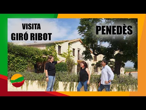Visita al celler GIRÓ RIBOT, al Penedès de Enoturista