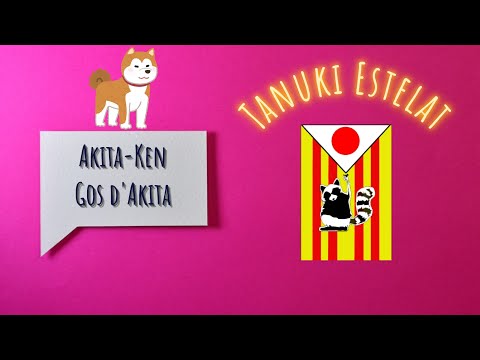 Akita-ken, el gos d'Akita! de TanukiEstelat