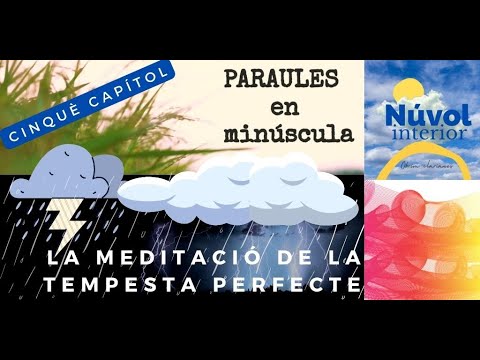 Meditació de la tempesta perfecta (5è capítol) de Núvol Interior - Oriol Martín