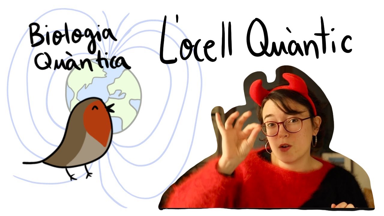 Biologia Quàntica: L'ocell quàntic de La Dimoni de Maxwell