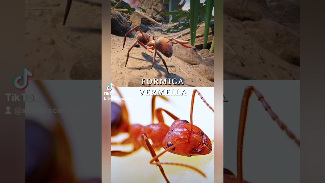 Insectes de Grounded vs Reals! #xbox #gamepass #jardí #grounded #català #insectes #insects #ants de Xboxers Catalans