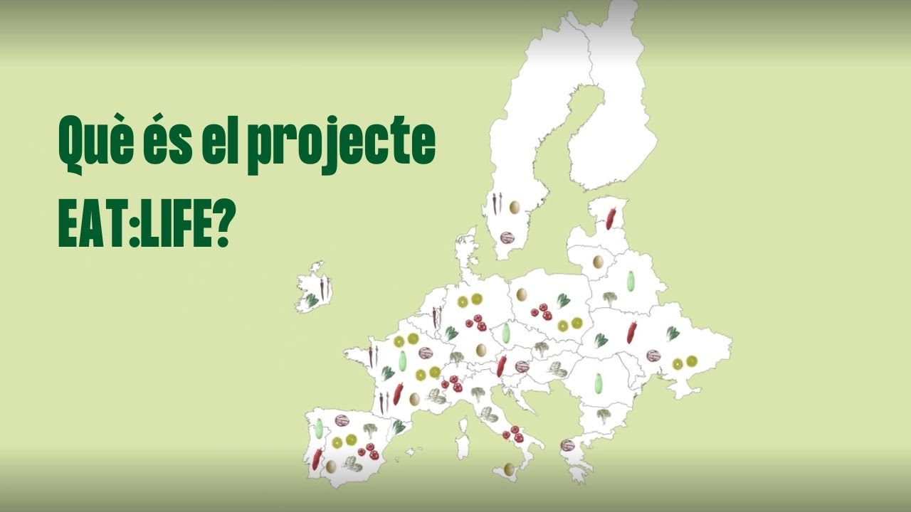 Què és el projecte EAT:LIFE? de Fundació Catalana de l'Esplai