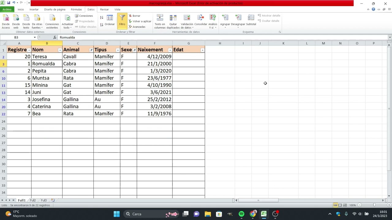 Com filtrar registres d'un full de càlcul Excel de Xavier Àgueda COMPETIC