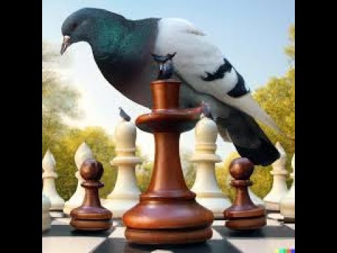 Escacs en Directe Comentat amb Joan. 37 de Joan Rojas