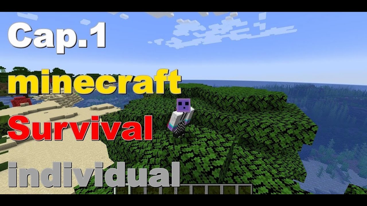 Minecraft Survival Individual #1 de Blockonto