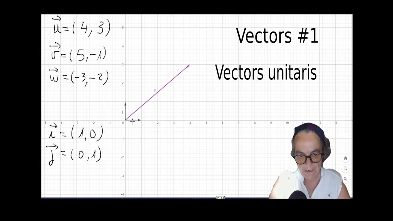 Vectors, els vectors unitaris de Esther Cuevas
