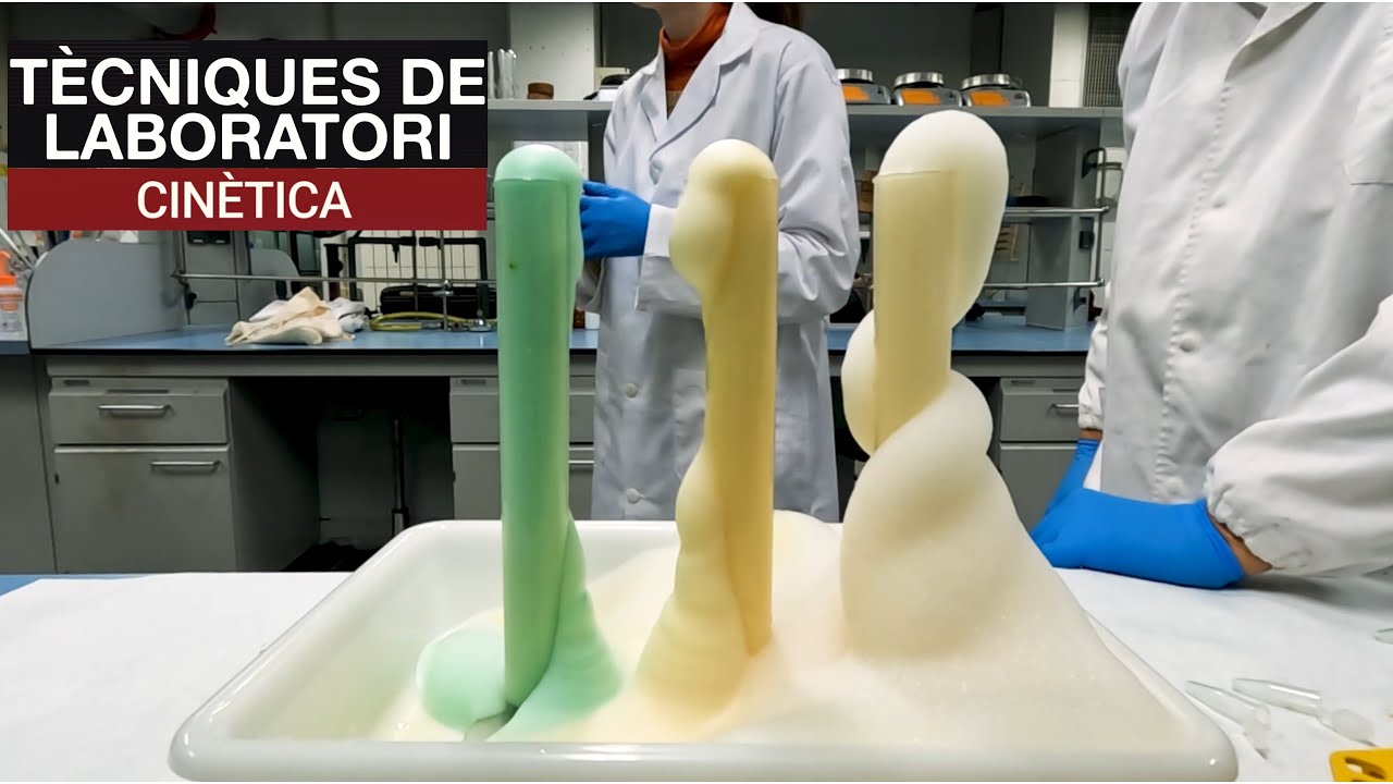 Tècniques de Laboratori: Cinètica de Josep Duran