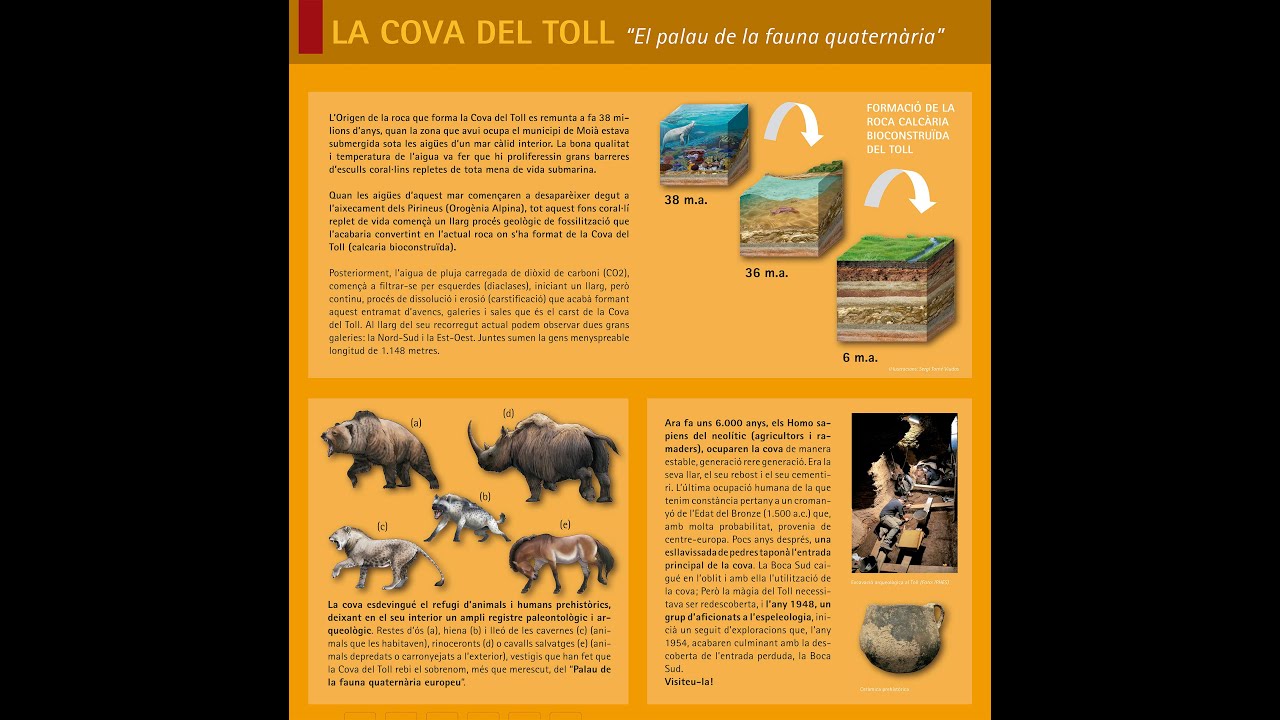 3 LA COVA DEL TOLL ”El palau de la fauna quaternària” de La Mirada Tàctil