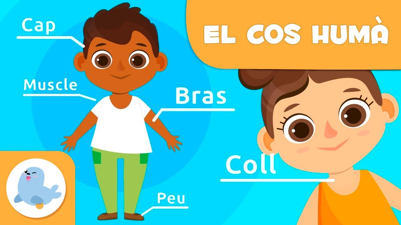 Les parts del cos humà per a nens | Vídeos educatius per a nens en català de Smile and Learn - Català