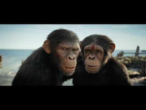 El regne del planeta dels simis. Cinema en català de Llengua catalana