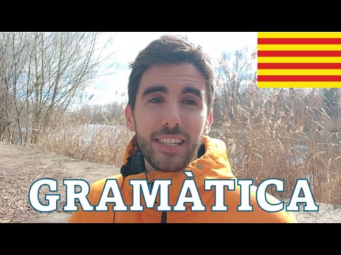 Per què resulta DIFÍCIL la GRAMÀTICA? - (Subtítols: cat) de Català al Natural